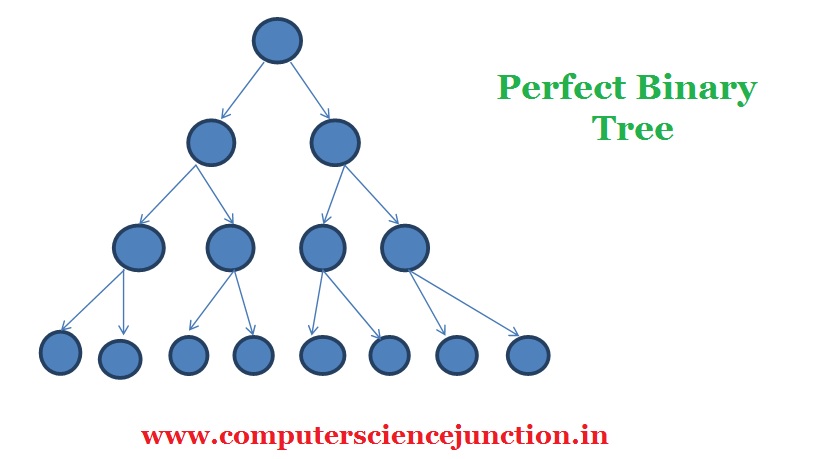 types of binary tree