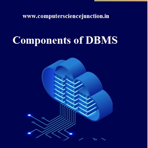 components of dbms