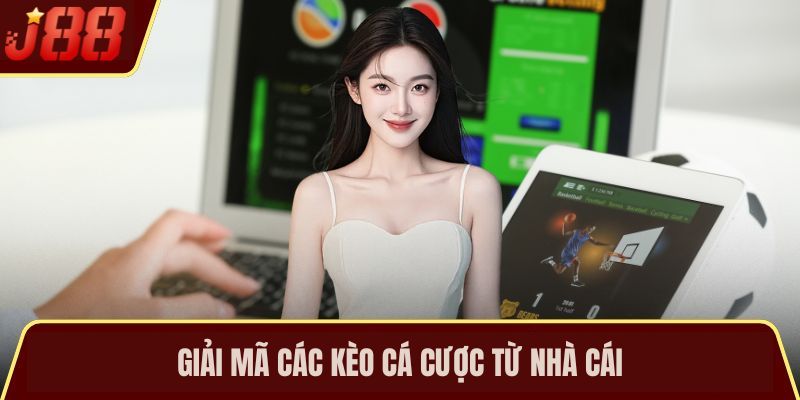 Giải mã các kèo cá cược từ nhà cái